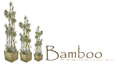 Bamboo Residencial, Bienes Raíces